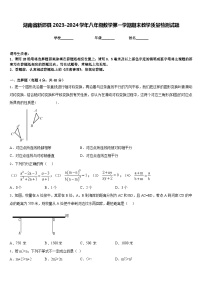 湖南省新邵县2023-2024学年八年级数学第一学期期末教学质量检测试题含答案