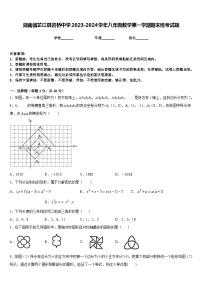 湖南省芷江县岩桥中学2023-2024学年八年级数学第一学期期末统考试题含答案