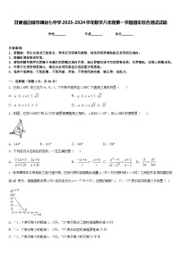 甘肃省白银市靖远七中学2023-2024学年数学八年级第一学期期末综合测试试题含答案