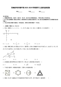 甘肃省平凉市静宁县2023-2024学年数学八上期末监测试题含答案