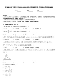 甘肃省庆阳市第九中学2023-2024学年八年级数学第一学期期末统考模拟试题含答案