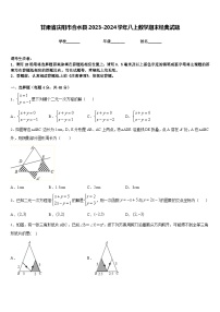 甘肃省庆阳市合水县2023-2024学年八上数学期末经典试题含答案