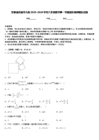 甘肃省武威市九级2023-2024学年八年级数学第一学期期末调研模拟试题含答案