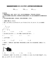 湖南省衡阳市衡阳县2023-2024学年八上数学期末质量检测模拟试题含答案