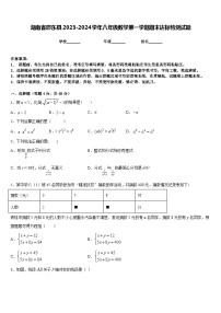 湖南省邵东县2023-2024学年八年级数学第一学期期末达标检测试题含答案