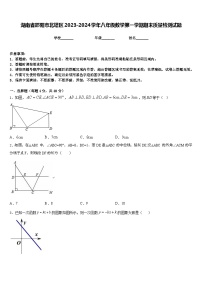 湖南省邵阳市北塔区2023-2024学年八年级数学第一学期期末质量检测试题含答案