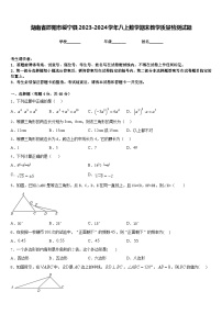 湖南省邵阳市绥宁县2023-2024学年八上数学期末教学质量检测试题含答案