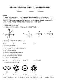 湖南省邵阳市新邵县2023-2024学年八上数学期末监测模拟试题含答案