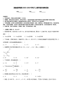 湖南省邵阳县2023-2024学年八上数学期末调研试题含答案