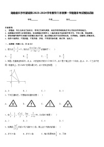 湖南省长沙市望城县2023-2024学年数学八年级第一学期期末考试模拟试题含答案