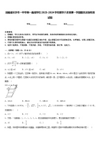 湖南省长沙市一中学湘一南湖学校2023-2024学年数学八年级第一学期期末达标检测试题含答案