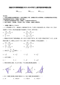 湖南长沙长郡教肓集团2023-2024学年八上数学期末联考模拟试题含答案