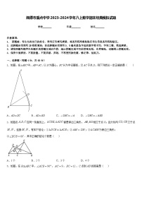 湘潭市重点中学2023-2024学年八上数学期末经典模拟试题含答案