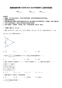 福建省福州市第十九中学2023-2024学年数学八上期末检测试题含答案