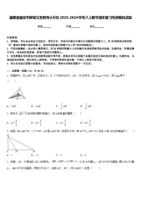 福建省南安市柳城义务教育小片区2023-2024学年八上数学期末复习检测模拟试题含答案