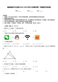 福建省南平市光泽县2023-2024学年八年级数学第一学期期末检测试题含答案