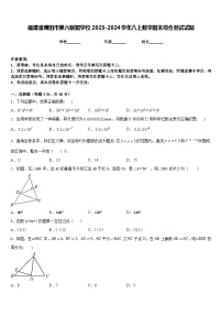 福建省莆田市第六联盟学校2023-2024学年八上数学期末综合测试试题含答案