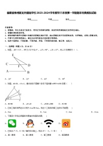 福建省泉州聚龙外国语学校2023-2024学年数学八年级第一学期期末经典模拟试题含答案