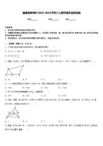 福建省泉州市2023-2024学年八上数学期末监测试题含答案