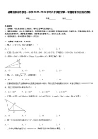 福建省泉州市泉港一中学2023-2024学年八年级数学第一学期期末综合测试试题含答案