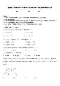 福建省三元县2023-2024学年八年级数学第一学期期末经典模拟试题含答案