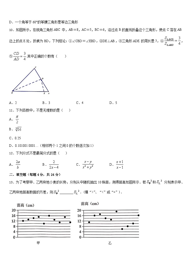 福建省寿宁县2023-2024学年数学八年级第一学期期末学业质量监测模拟试题含答案03