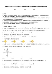 贵州省从江县2023-2024学年八年级数学第一学期期末教学质量检测模拟试题含答案