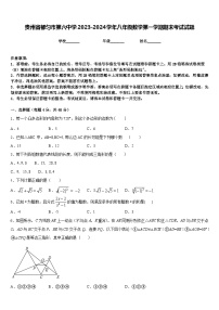 贵州省都匀市第六中学2023-2024学年八年级数学第一学期期末考试试题含答案