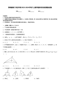 贵州省铜仁市石阡县2023-2024学年八上数学期末综合测试模拟试题含答案