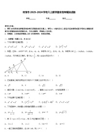 菏泽市2023-2024学年八上数学期末统考模拟试题含答案