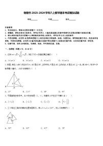 铜陵市2023-2024学年八上数学期末考试模拟试题含答案