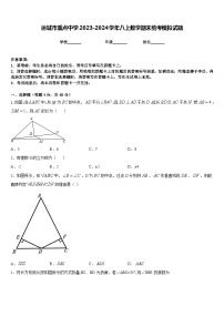 运城市重点中学2023-2024学年八上数学期末统考模拟试题含答案