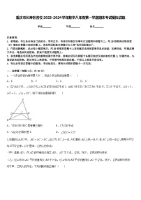 重庆市长寿区名校2023-2024学年数学八年级第一学期期末考试模拟试题含答案