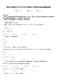 重庆市九龙坡区十校2023-2024学年数学八上期末学业质量监测模拟试题含答案