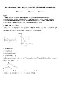 重庆市南岸区南开（融侨）中学2023-2024学年八上数学期末复习检测模拟试题含答案