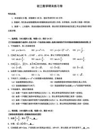 上海市浦东新区2023-2024学年九年级上学期期末数学试题（一模）