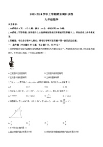 河南省平顶山市鲁山县2023-2024学年九年级上学期期末数学试题