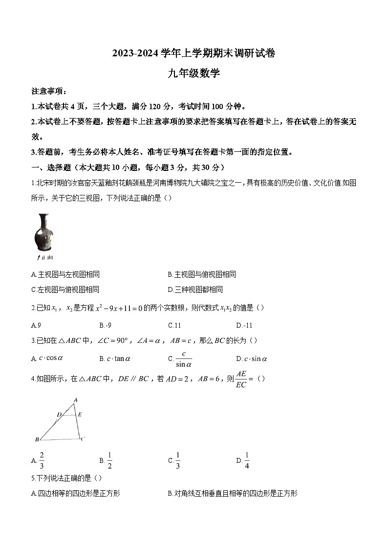 河南省平顶山市鲁山县2023-2024学年九年级上学期期末数学试题01