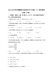 新疆维吾尔自治区喀什地区喀什市2023-2024学年七年级上学期期末数学试题（含解析）