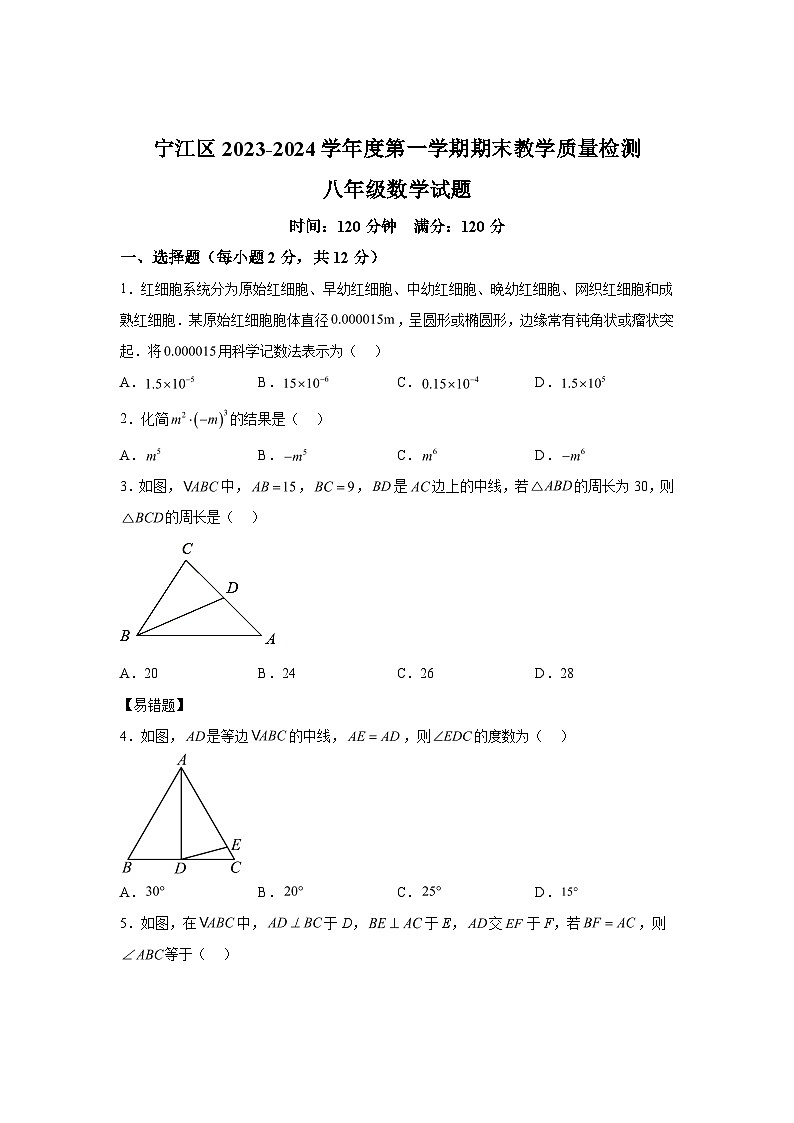 吉林省松原市宁江区2023-2024学年八年级上学期期末数学试题（含解析）01