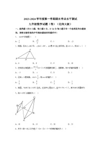 陕西省榆林市定边县定边县第七中学2023-2024学年九年级上学期期末数学试题（含解析）