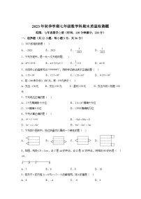 广西壮族自治区防城港市防城区2023-2024学年七年级上学期期末数学试题（含解析）