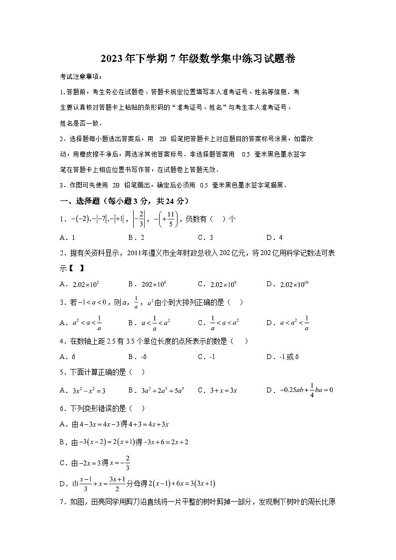 湖南省郴州市桂东县2023-2024学年七年级上学期期末数学试题（含解析）01