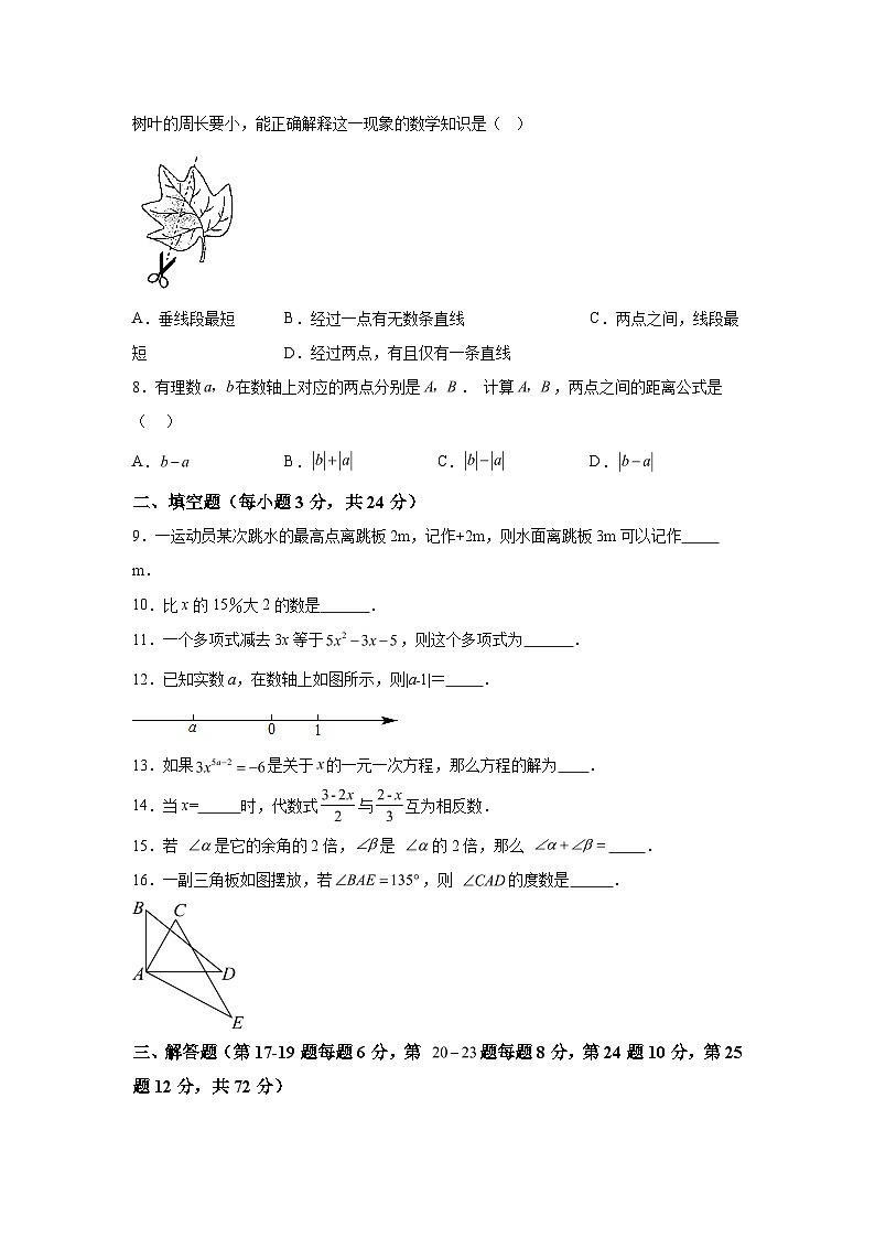湖南省郴州市桂东县2023-2024学年七年级上学期期末数学试题（含解析）02