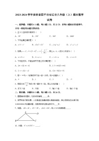 吉林省四平市双辽市2023-2024学年八年级上学期期末数学试题（含解析）