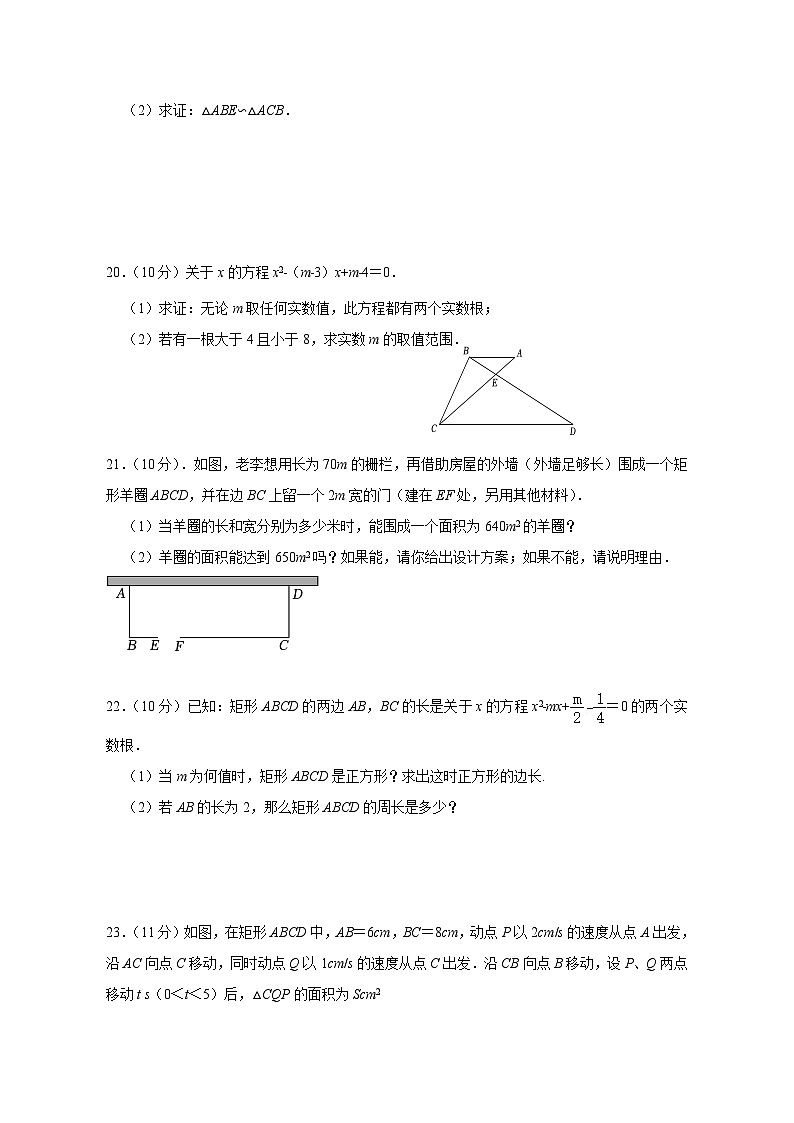 2023-2024学年河南省洛阳市九年级上册第一次月考数学测试卷（附答案）03