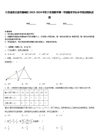 江苏省连云港市赣榆区2023-2024学年八年级数学第一学期期末学业水平测试模拟试题含答案