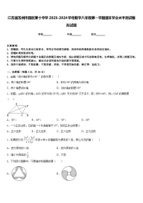 江苏省苏州市园区第十中学2023-2024学年数学八年级第一学期期末学业水平测试模拟试题含答案