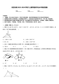 河北沧州2023-2024学年八上数学期末学业水平测试试题含答案