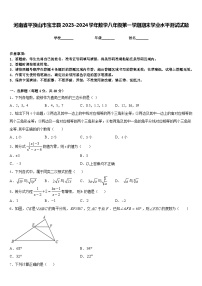 河南省平顶山市宝丰县2023-2024学年数学八年级第一学期期末学业水平测试试题含答案